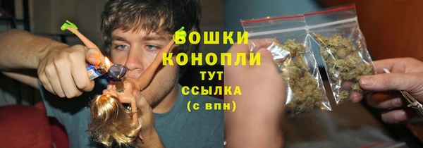 тгк Горно-Алтайск