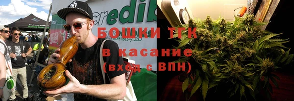 тгк Горно-Алтайск