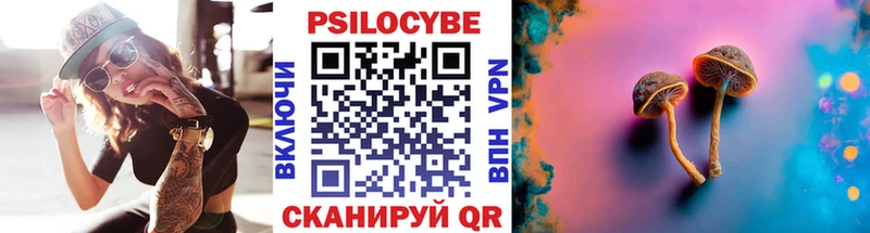 Купить где  Полысаево  Галлюциногенные грибы GOLDEN TEACHER 